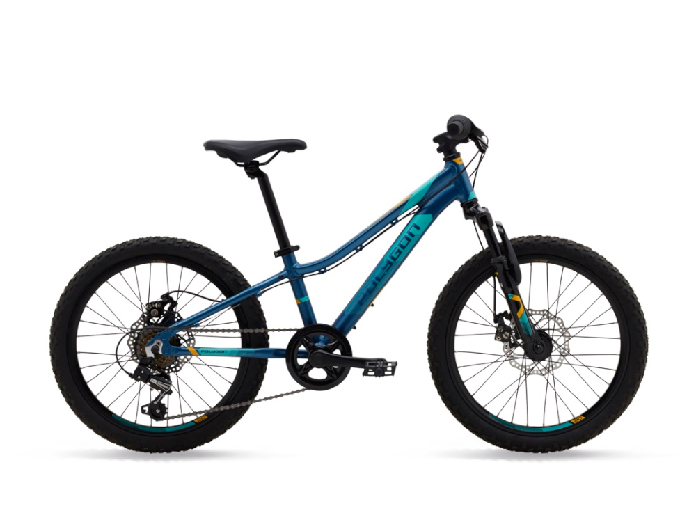 Polygon Relic 20 Mountain Bike Junior 2019