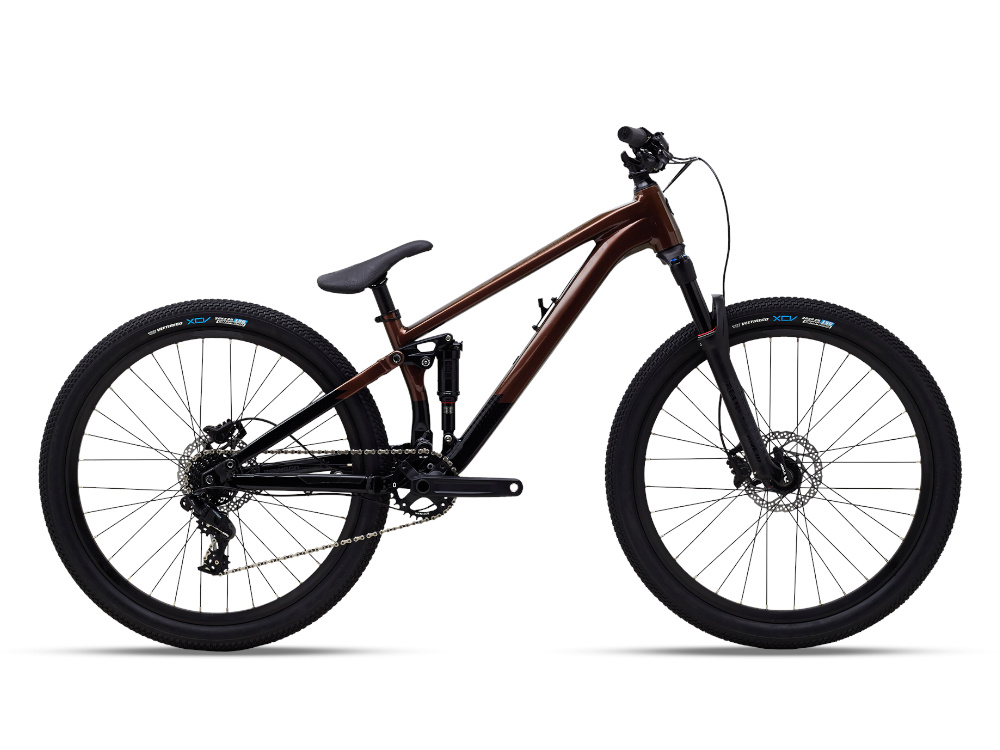 Polygon Trid ZZ MTB Dual Suspension Bike 2020