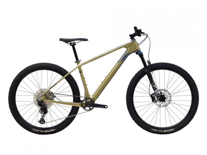 Polygon Syncline C5 Mountain Bike 2020