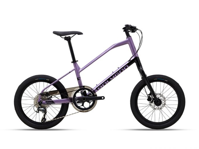 Folding Bike Minivelo Bike Harga Buy Polygon Zeta 2020 City Bike