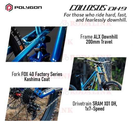 Buy Polygon Collosus DH9 2024 Mountain Bike RODALINK MALAYSIA