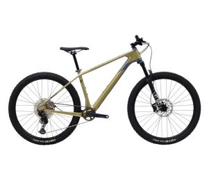 Polygon Sepeda Gunung Syncline C5 2020