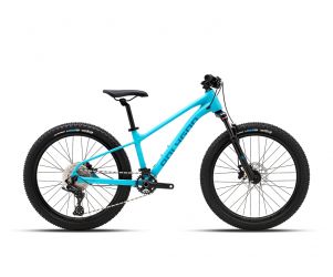 Polygon Xtrada 24 Mountain Bike Junior