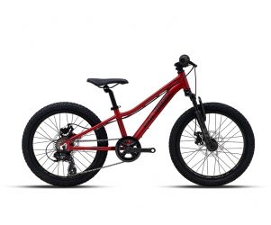 Polygon Sepeda MTB Junior Relic 20