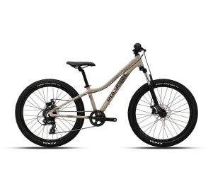 Polygon Sepeda MTB Junior Relic 24
