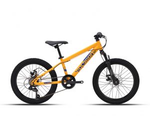 Polygon Sepeda Anak Maze M20