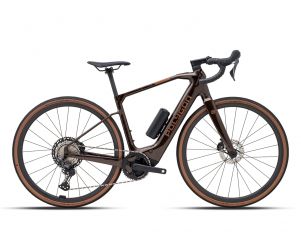 Polygon Sepeda Elektrik Tambora AE GRX