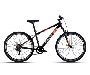 Polygon Sepeda Gunung Active