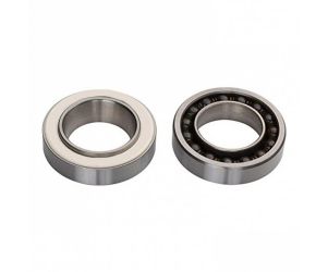 Fulcrum RS-150 USB Rear Hub Bearing