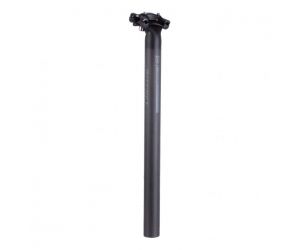 Ritchey Seat Post Sepeda Comp 2-Bolt Carbon