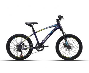 Wimcycle Sepeda MTB Junior Vulcan 20