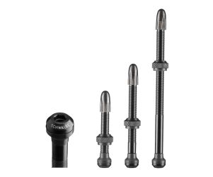 Schwalbe Valve Sepeda UTLV Tubeless