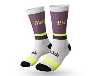 Fizik Team Edition Socks