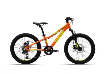 Polygon Sepeda MTB Junior Relic 20 2021