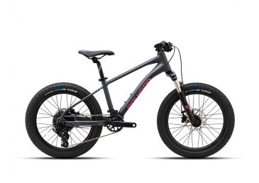 Polygon Xtrada 20 Mountain Bike Junior