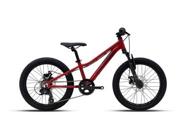 Polygon Sepeda MTB Junior Relic 20