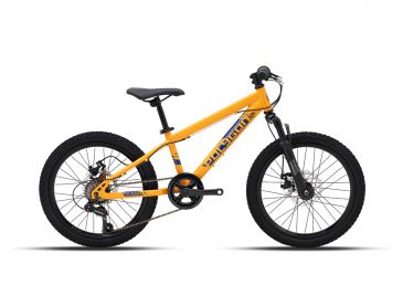 Polygon Sepeda Anak Maze M20