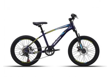 Wimcycle Sepeda MTB Junior Vulcan 20
