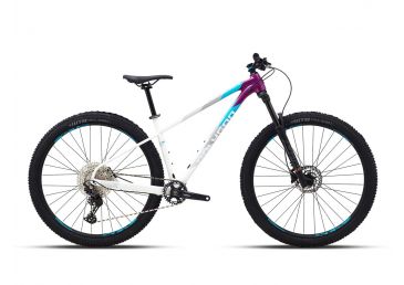 Polygon Sepeda Gunung Xtrada 7