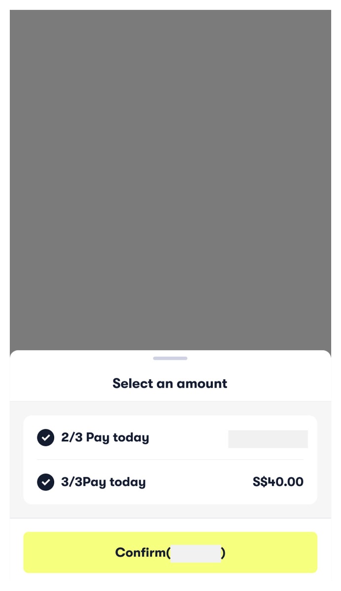 Confirm the amount you'd like to pay. Confirm the amount you'd like to pay.