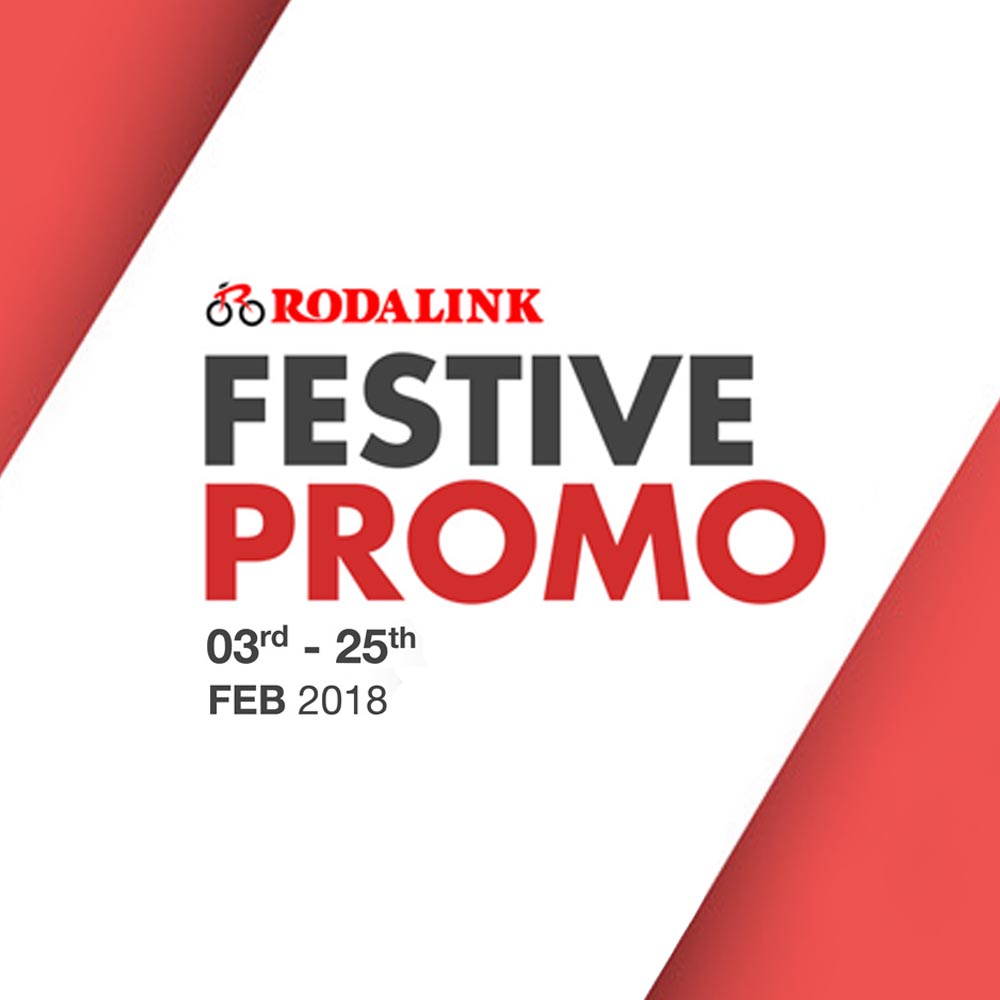 Festive Promo Festive Promo