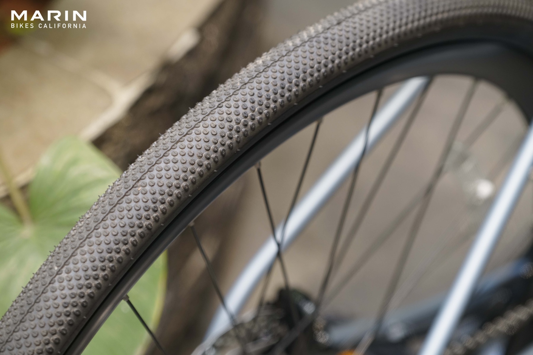 Marin Beyond Road 3 Marin Beyond Road