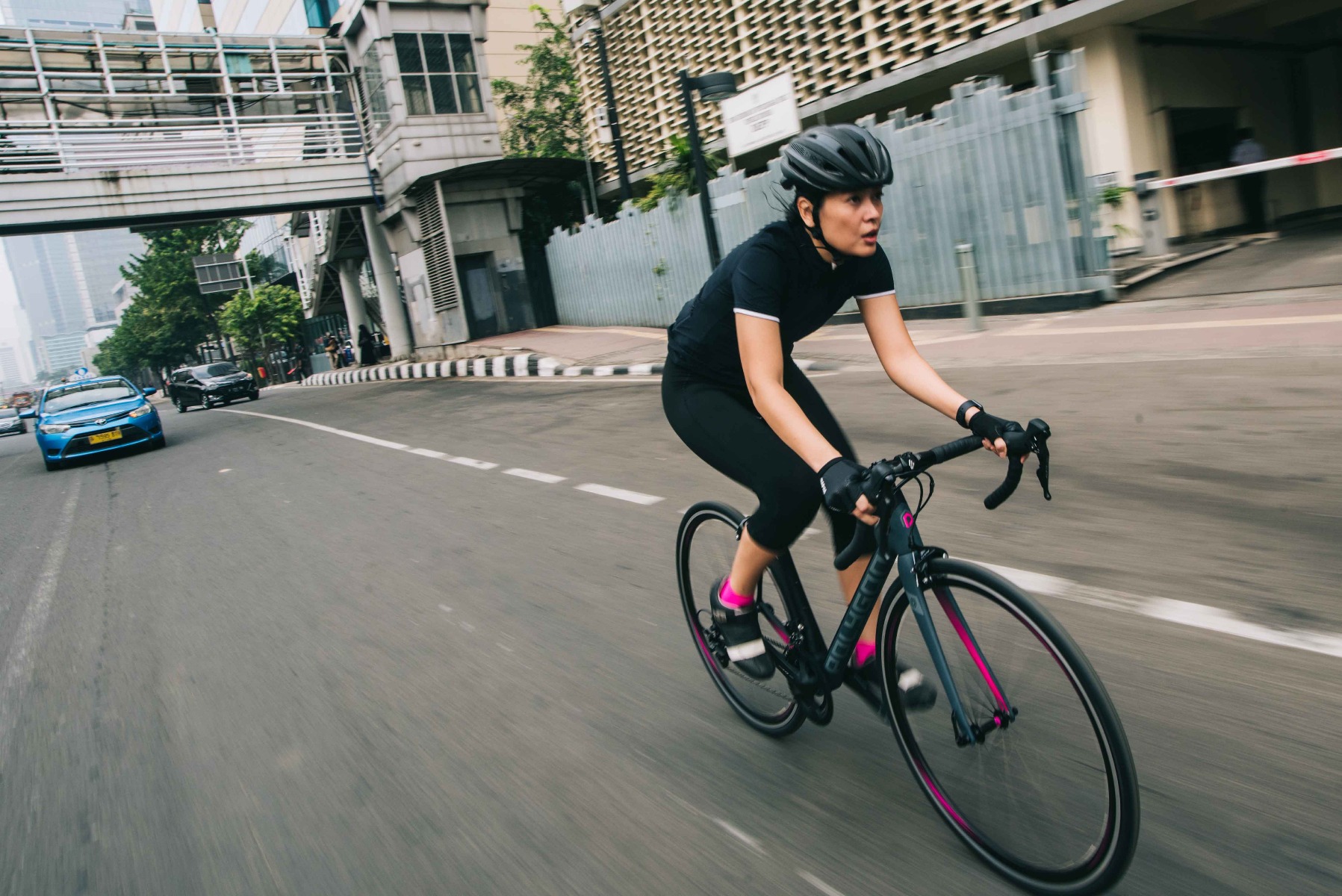 Polygon Divine Polygon Divine