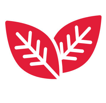 Polygon Gili Velo: Solusi Ramah Lingkungan Polygon Gili Velo: Solusi Ramah Lingkungan