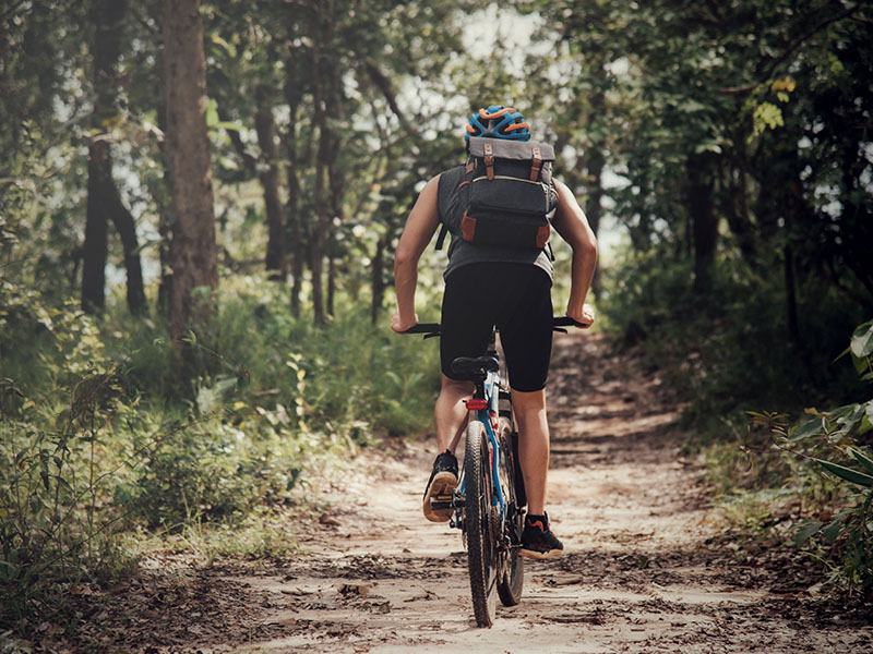 Top 5 Mountain Bike Trails in Singapore Top 5 Mountain Bike Trails in Singapore