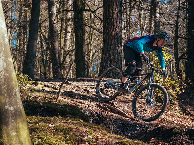 Yuk, Cobain Siskiu D Series Yuk, Cobain Siskiu D Series