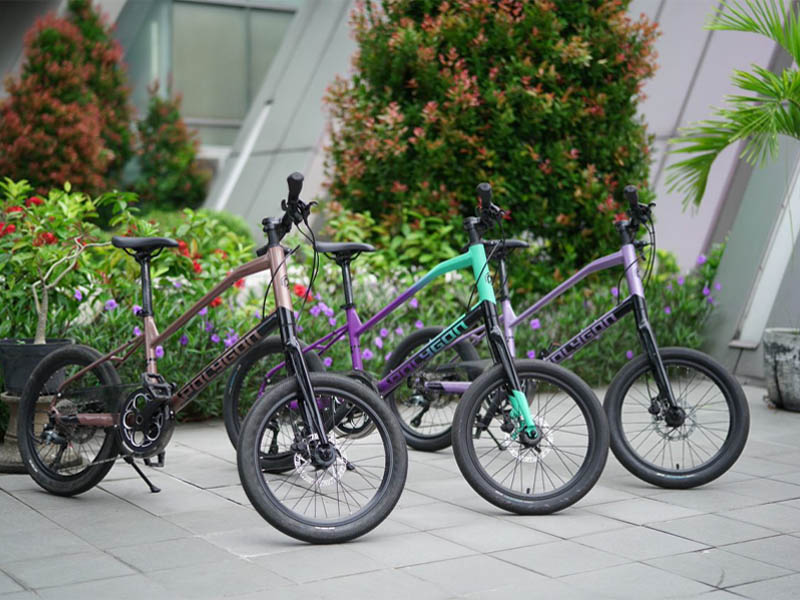 Mini Velo Frame Size, What is the Best Frame Size? Mini Velo Frame Size, What is the Best Frame Size?