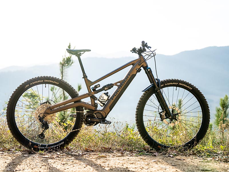 Polygon Collosus N8E E-MTB Polygon Collosus N8E E-MTB