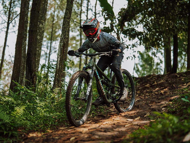 Mountain biker menuruni track hutan menggunakan Polygon Collosus N9 Mountain biker menuruni track hutan menggunakan Polygon Collosus N9