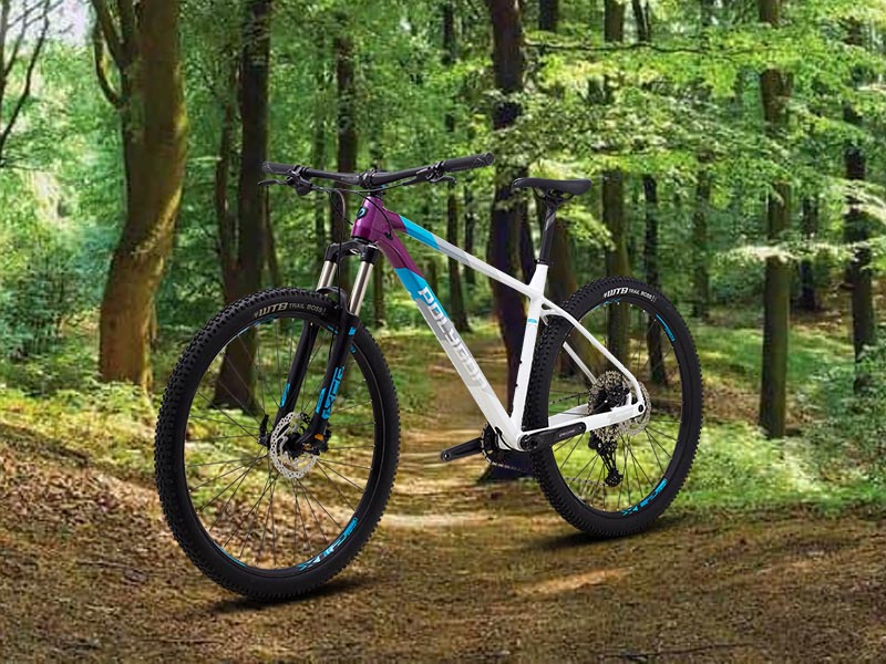 Sepeda Gunung Cross Country Polygon Xtrada 7 Sepeda Gunung Cross Country Polygon Xtrada 7