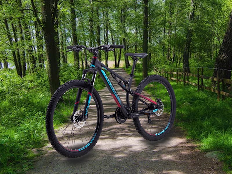 Sepeda Gunung Polygon Rayz 3 Sepeda Gunung Polygon Rayz 3