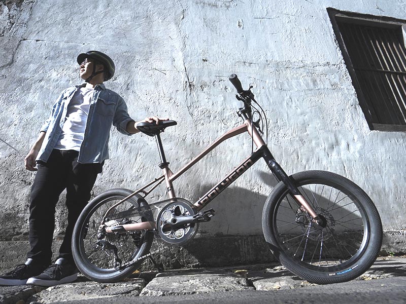 Mini Velo Polygon Zeta 2 Mini Velo Polygon Zeta 2