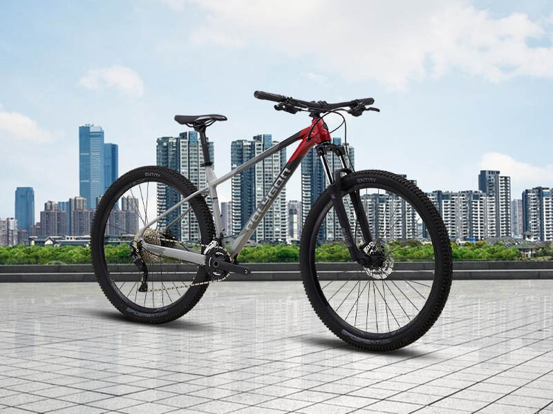 Polygon Xtrada 5, a cross-country mountain bike Polygon Xtrada 5, a cross-country mountain bike