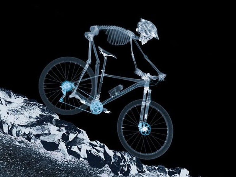 Mountain biking improved bone density Mountain biking improved bone density