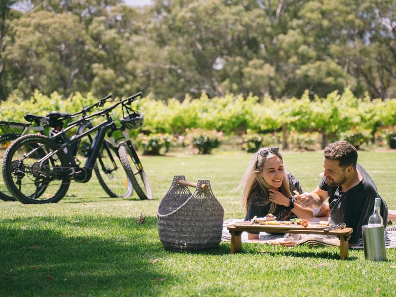 Chinese New Year picnic after ride Chinese New Year picnic after ride