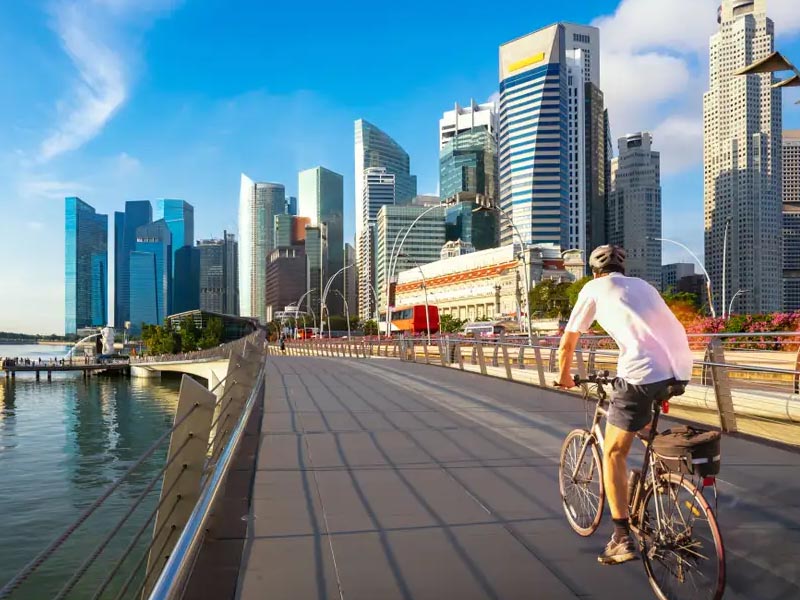 Carbon mountain bikes praised for their exceptional adaptability Carbon mountain bikes praised for their exceptional adaptability