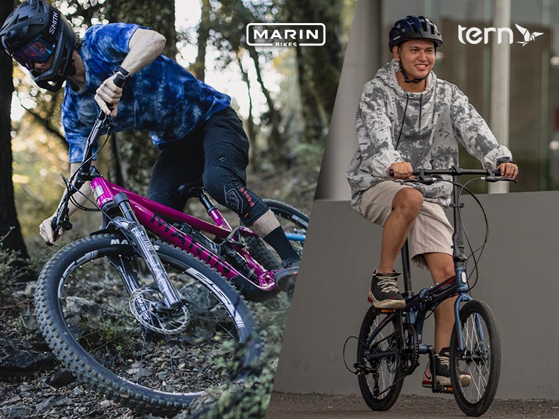 Sepeda Marin dan Tern untuk petualangan baru Sepeda Marin dan Tern untuk petualangan baru