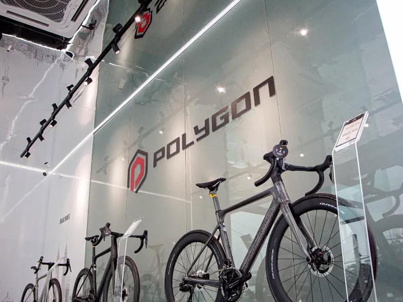 Rodalink Malaysia: perfect place to find an electric mountain bike Rodalink Malaysia: perfect place to find an electric mountain bike