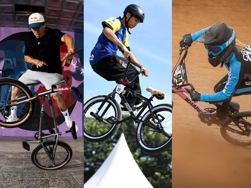 Freestyle, dirt jump, & race BMX bikes Freestyle, dirt jump, & race BMX bikes