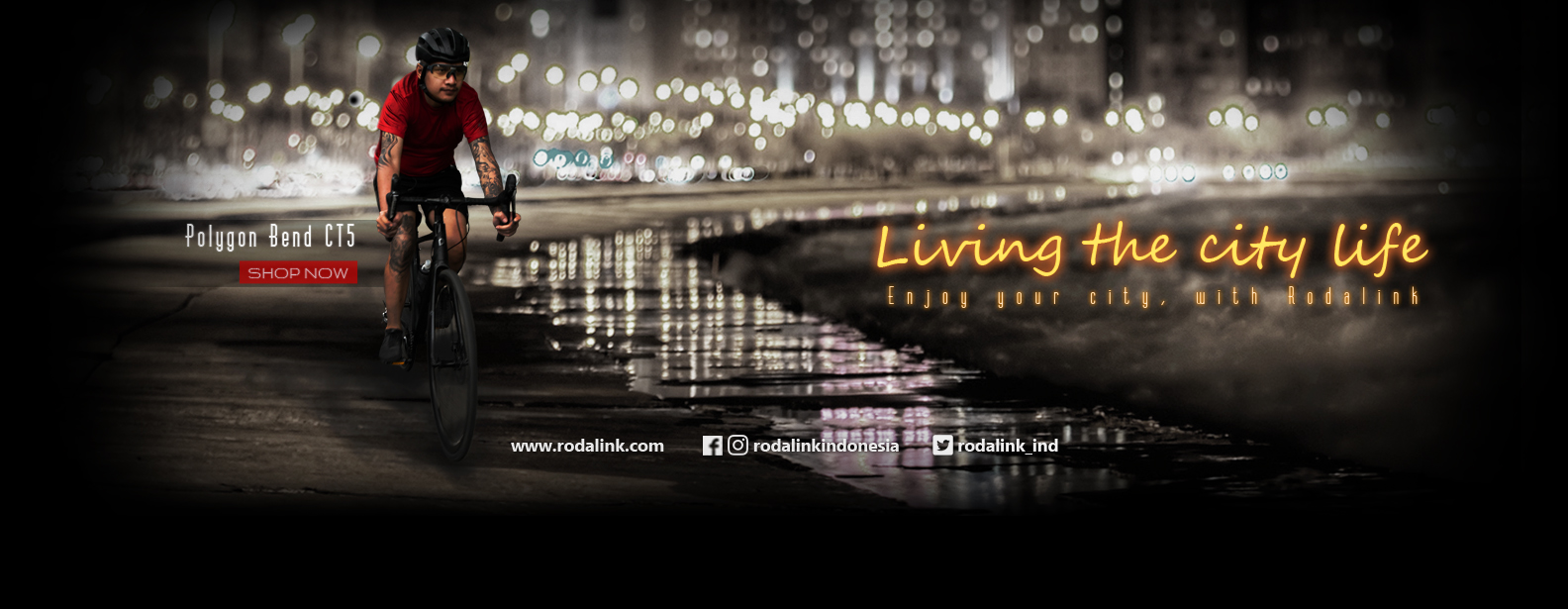 Sepeda City Bike Sepeda City Bike