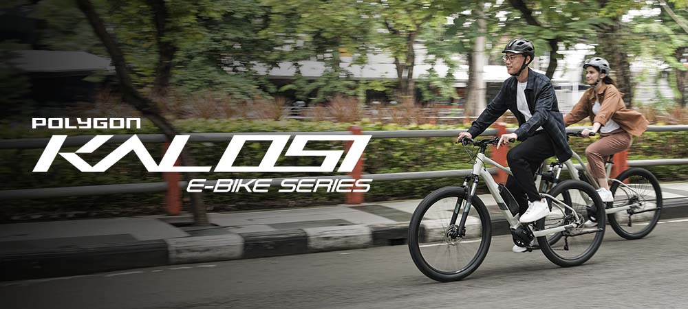 Polygon Kalosi Series Polygon Kalosi Series