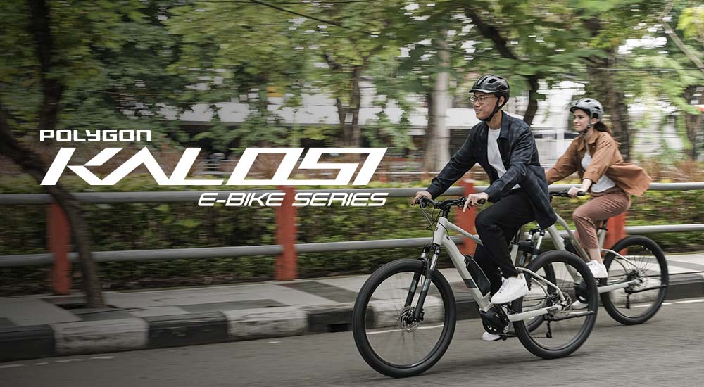 Polygon Kalosi Series Polygon Kalosi Series