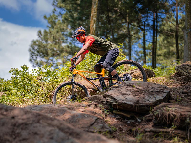 Harga Sepeda Gunung Polygon: Sepeda Untuk Semua Orang Harga Sepeda Gunung Polygon: Sepeda Untuk Semua Orang