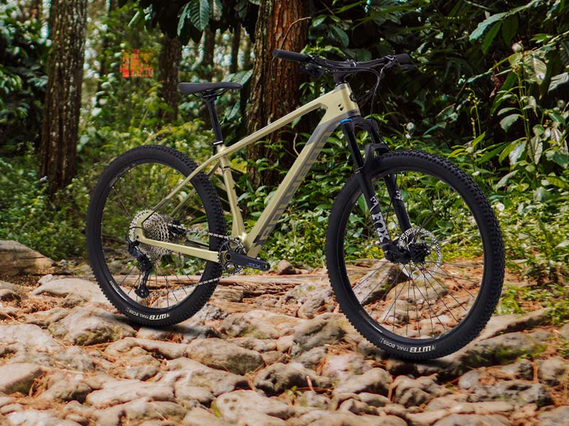 Polygon Sepeda Gunung Syncline C5 2020 Polygon Sepeda Gunung Syncline C5 2020