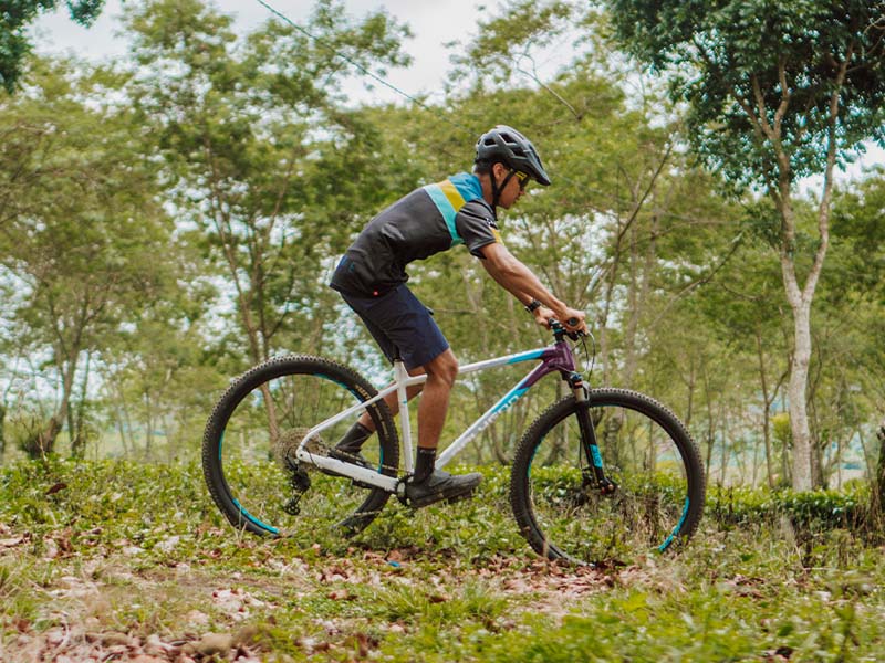 Polygon Sepeda Gunung Xtrada 7 Polygon Sepeda Gunung Xtrada 7