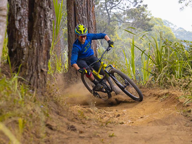 Kesimpulan Kesimpulan